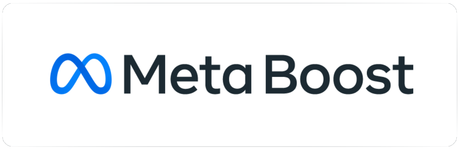 Meta Boost Leaders Network